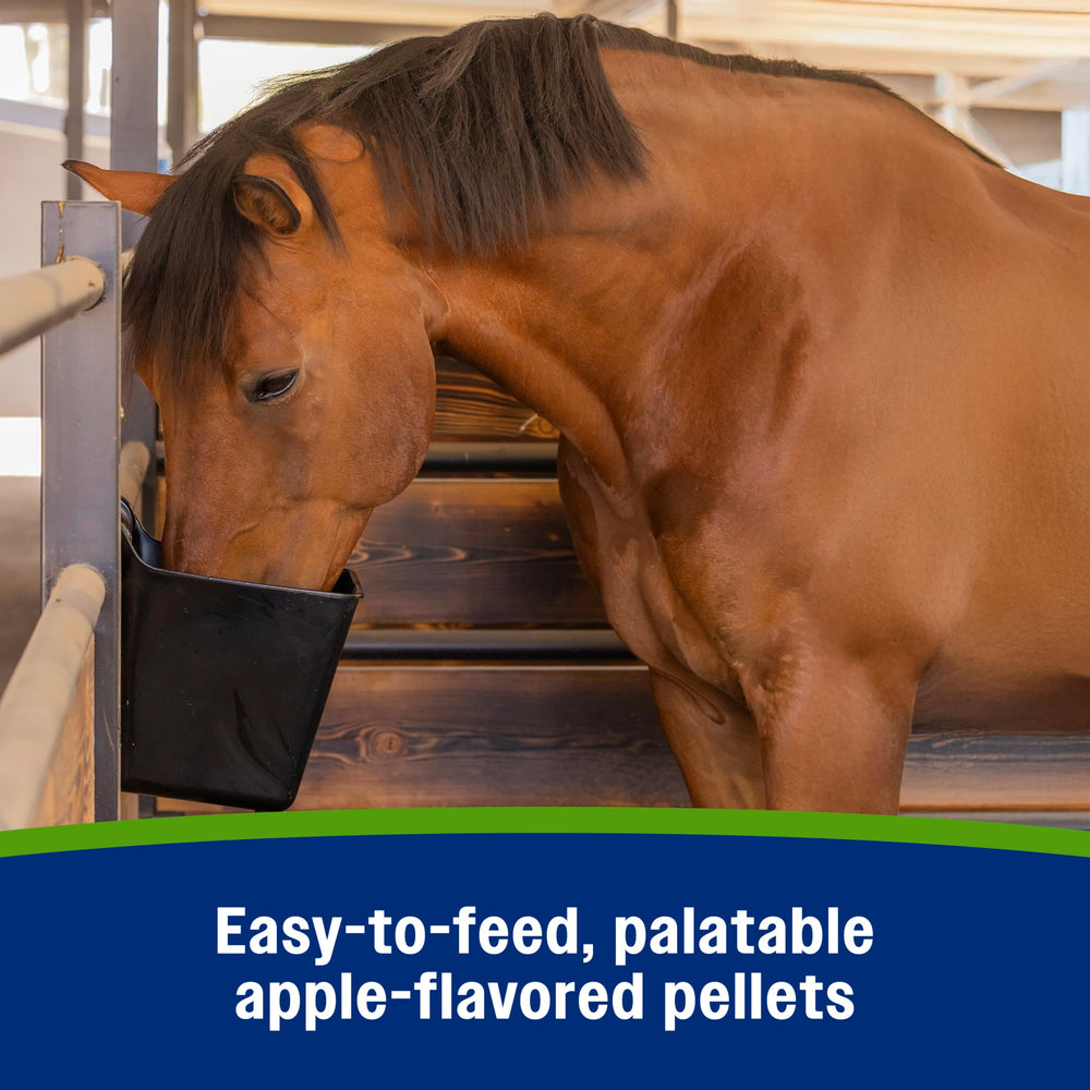 Electrolitos minerales para caballos Farnam Apple Elite