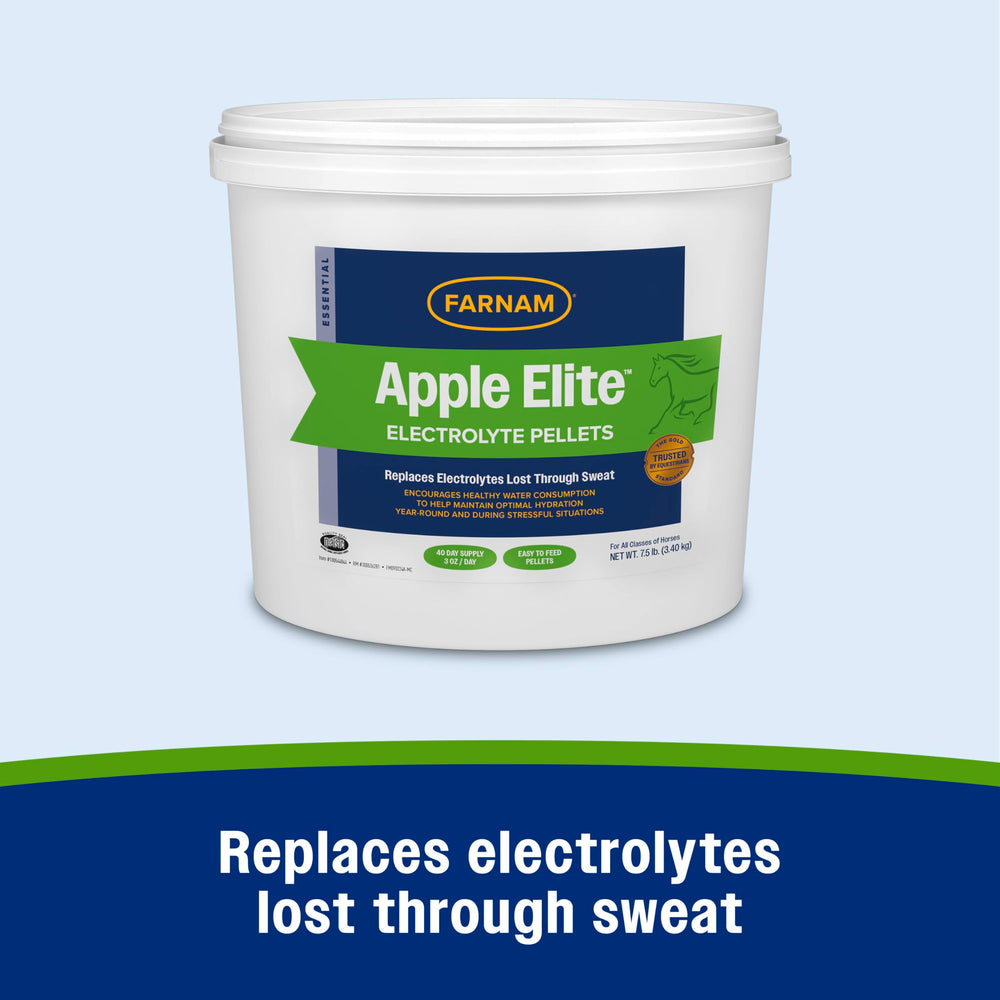 Saco Farnam Apple Elite 7-5 libras listo para uso diario
