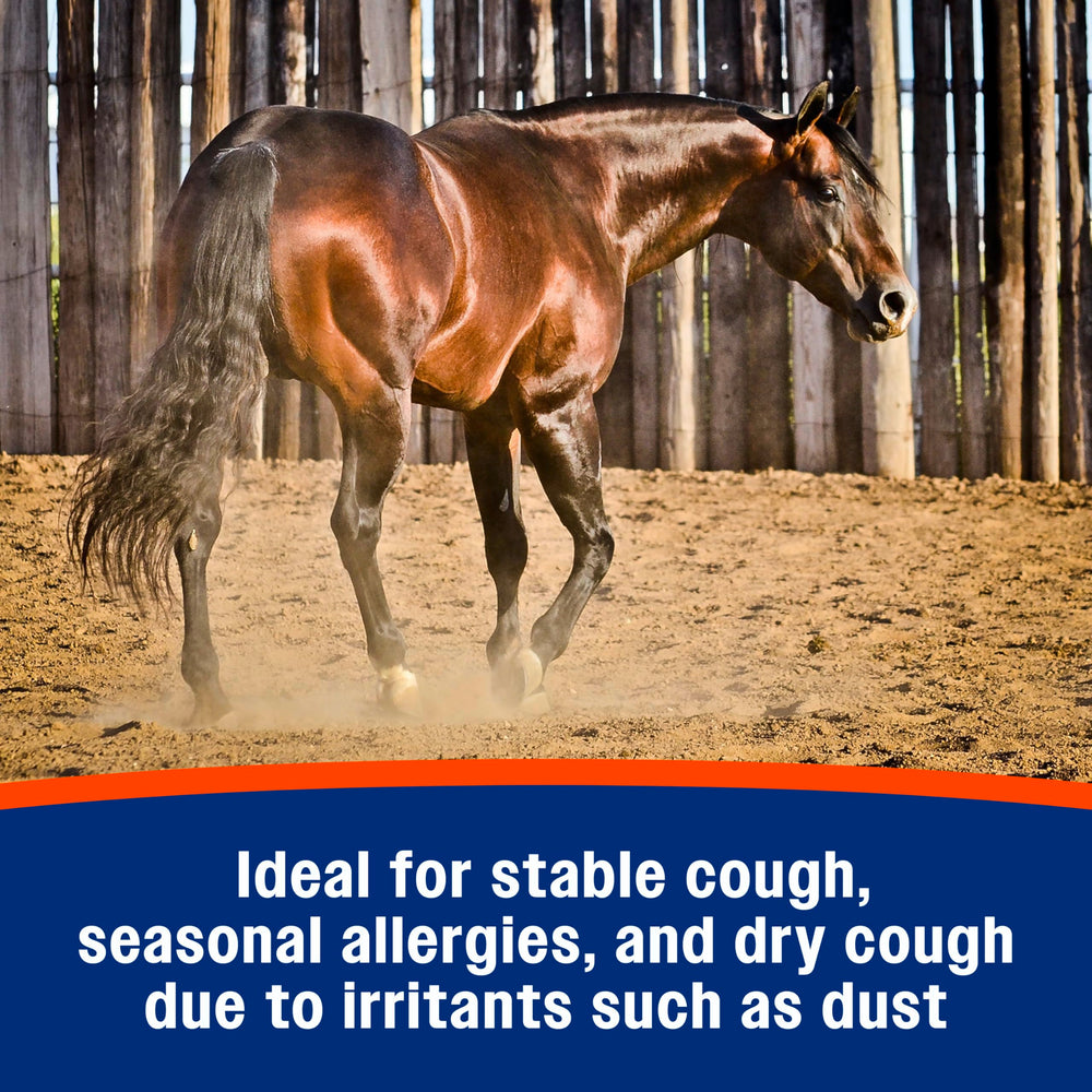 Farnam Cough Free: caballo recibiendo los gránulos para apoyo respiratorio.