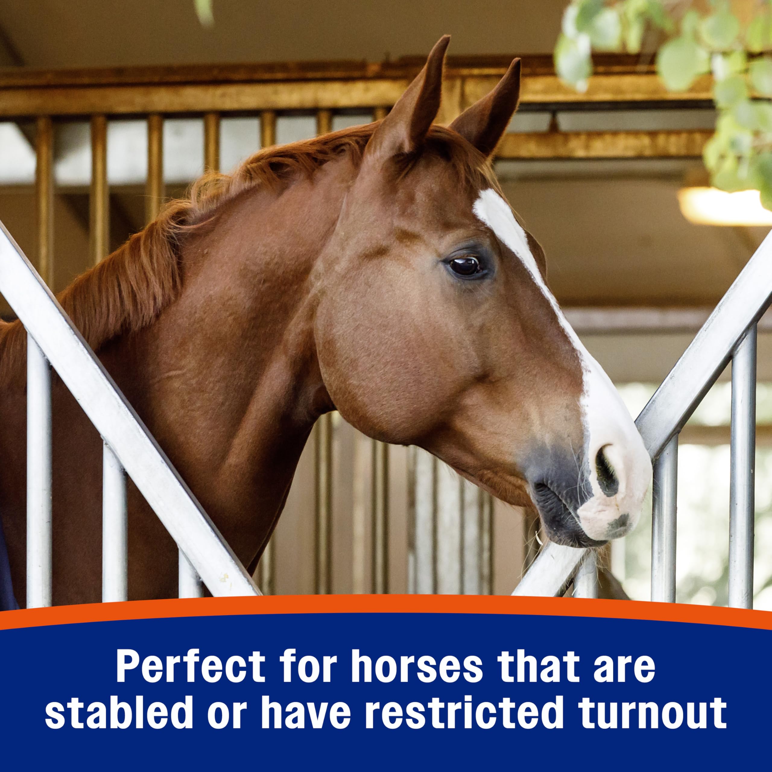 Farnam Cough Free: caballo en establo usando el suplemento.
