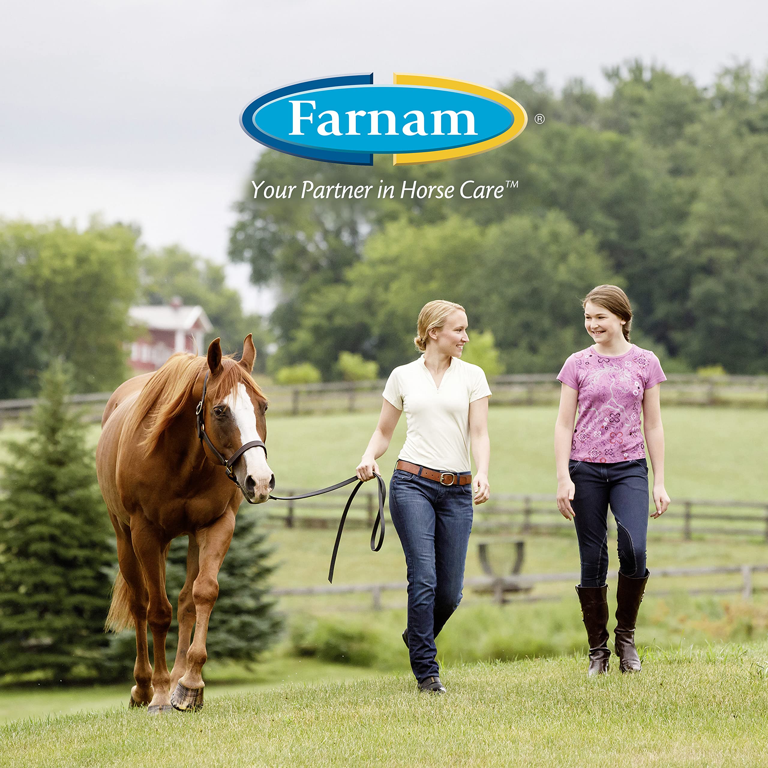 Farnam Equi-Spot formato de 6 semanas con 3 aplicaciones.