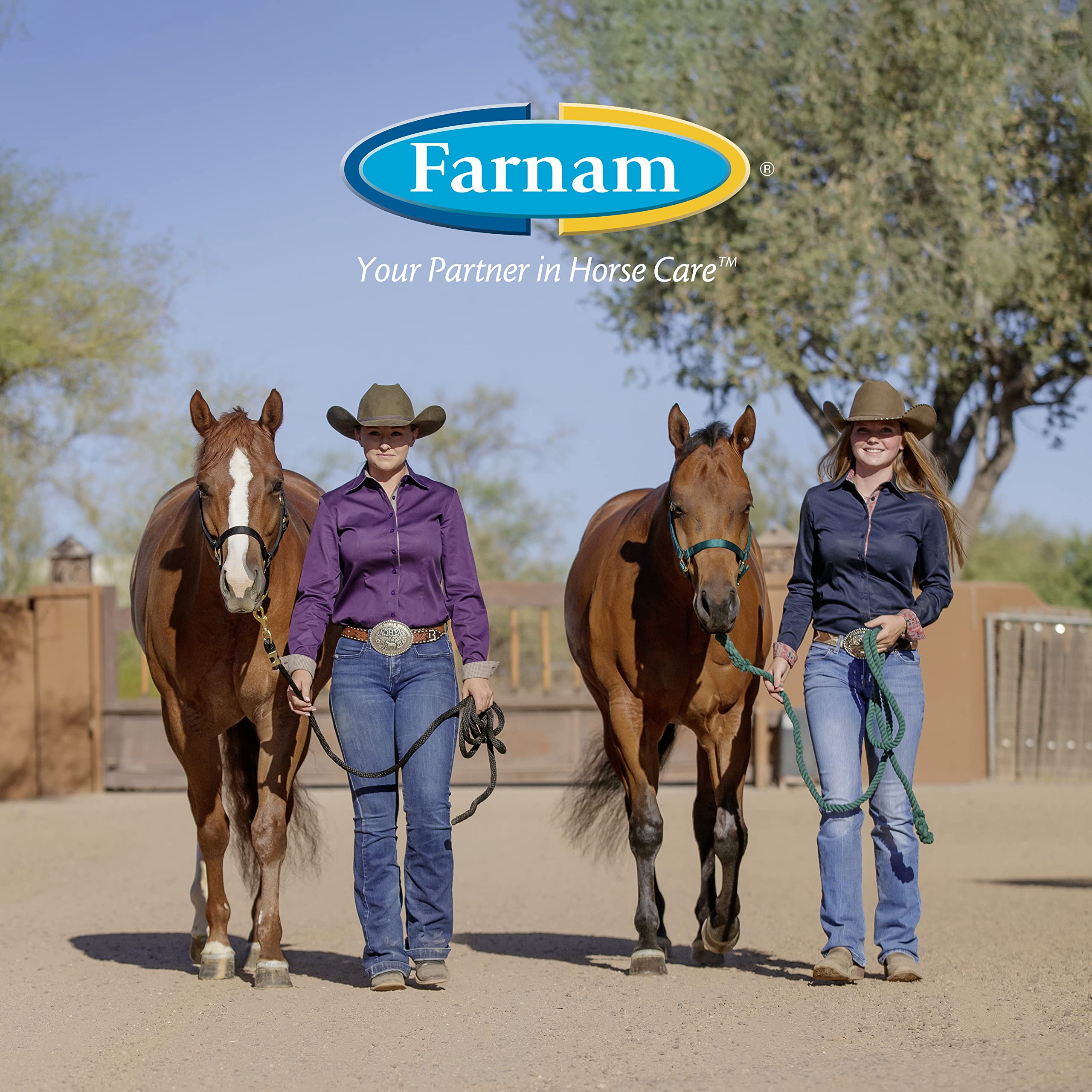 Aceites vegetales de Farnam Horseshoers Secret nutren el casco.