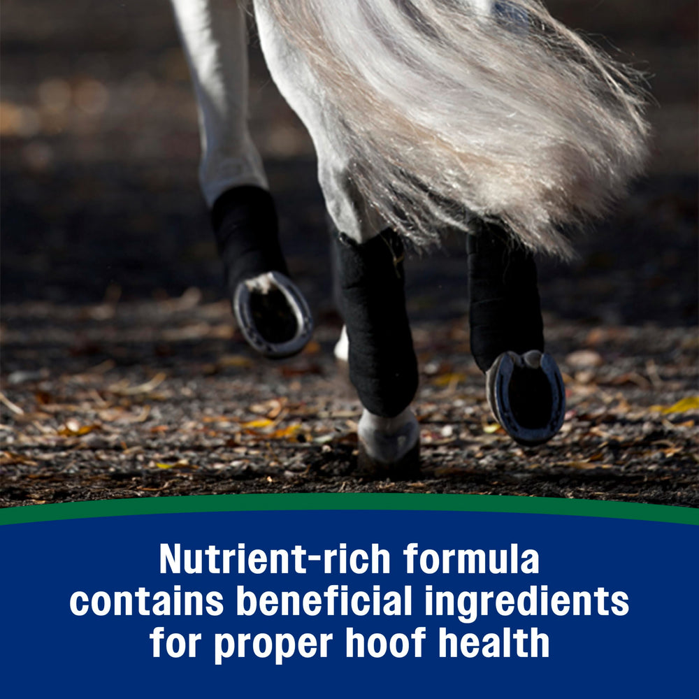 Farnam ayuda al fortalecimiento interno del casco con pellets