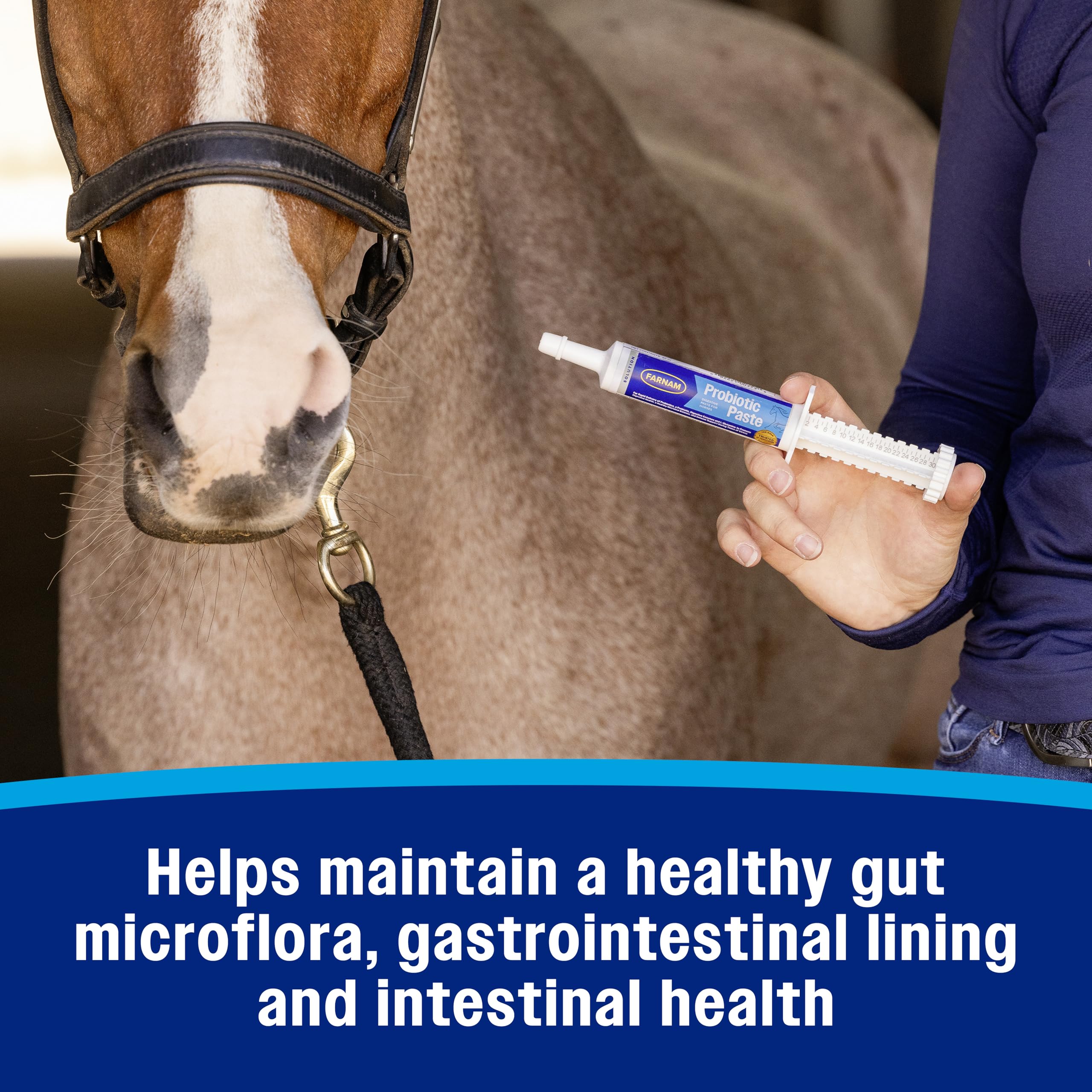 Composición con enzimas digestivas y L-glutamina de la pasta Farnam para intestino.