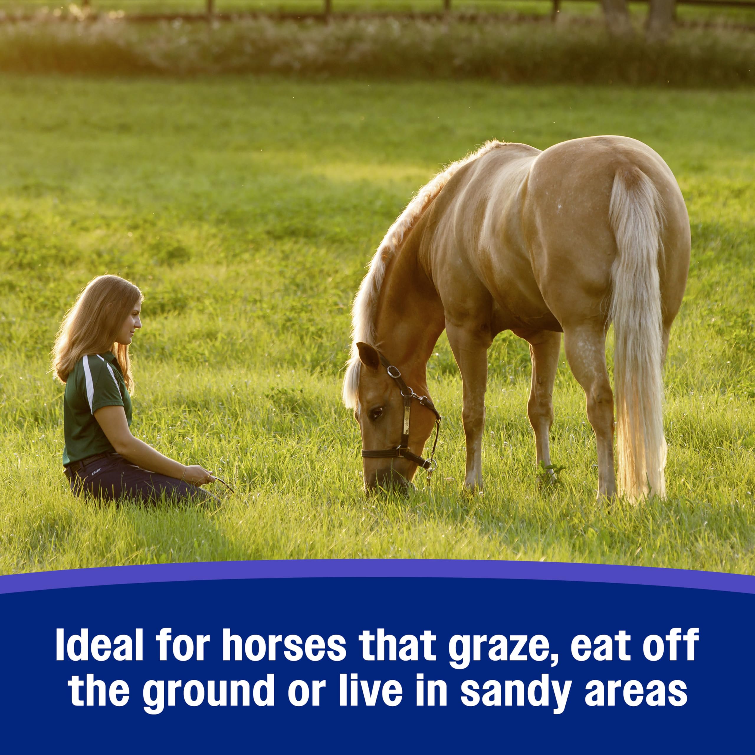Farnam SandClear Crumbles para caballos de todas las edades, opción palatable.