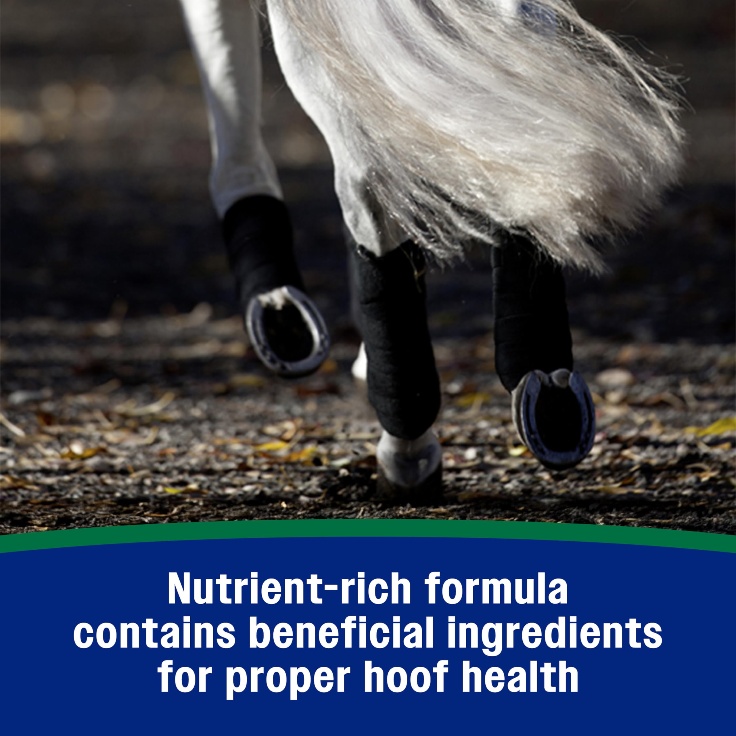 Farnam minerales-aminoacidos: nutrientes vitales para cascos resistentes.