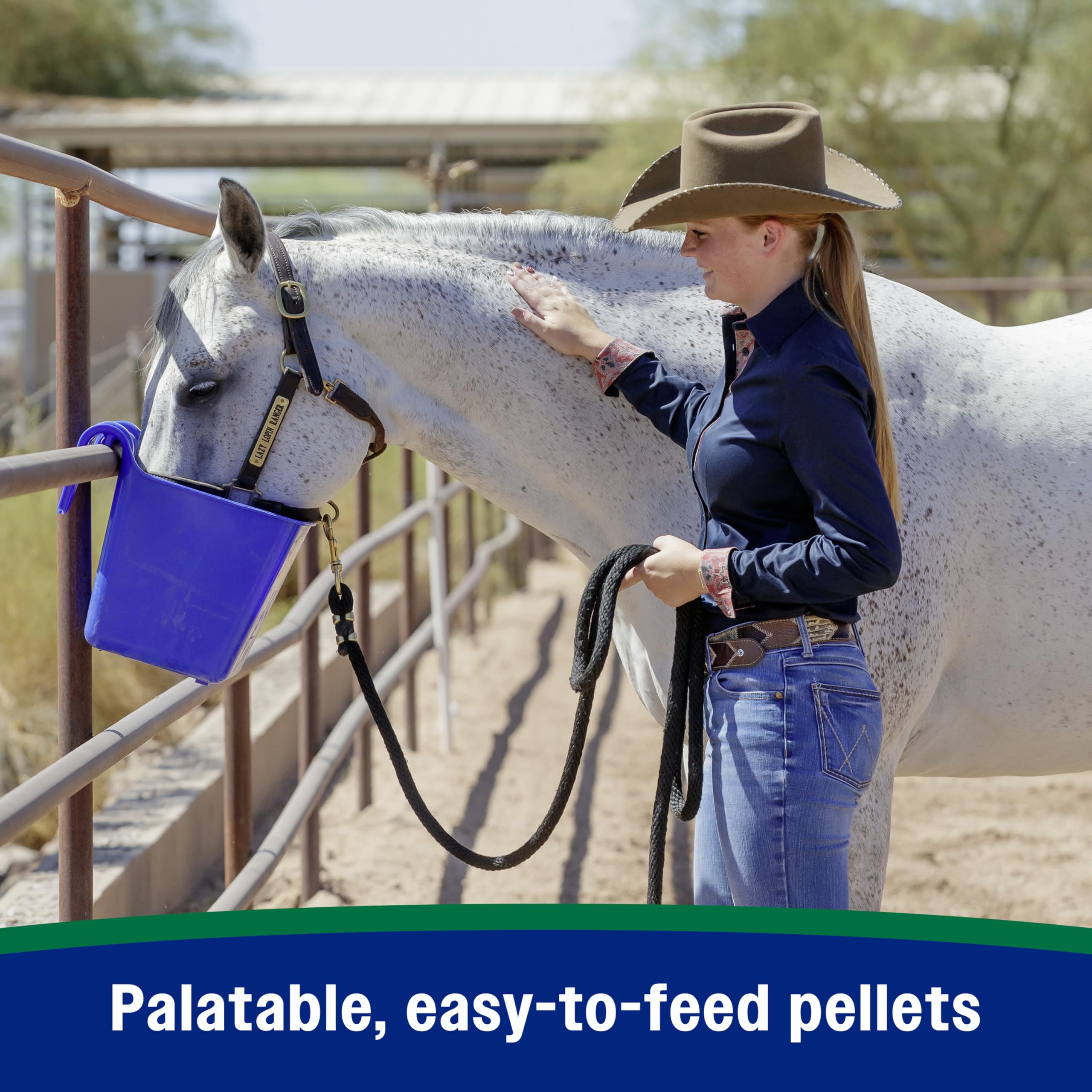 Farnam entreno-caballo: soporte para tendones y articulaciones en rendimiento.