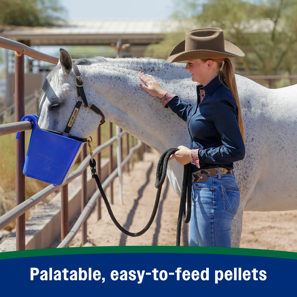 Farnam entreno-caballo: soporte para tendones y articulaciones en rendimiento.