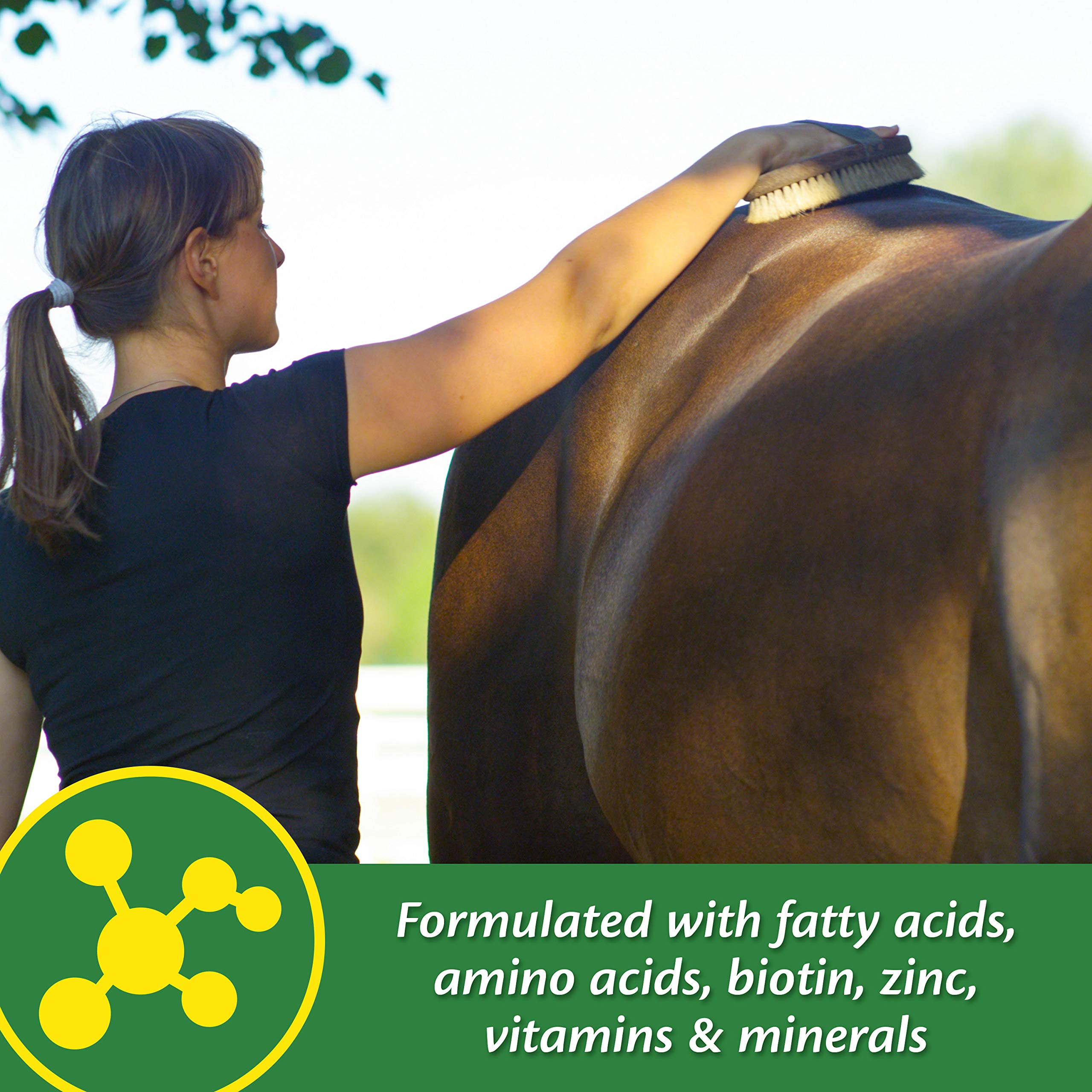Farnam Super 14 equilibrio omega-3 omega-6 ofrece nutrición equilibrada.