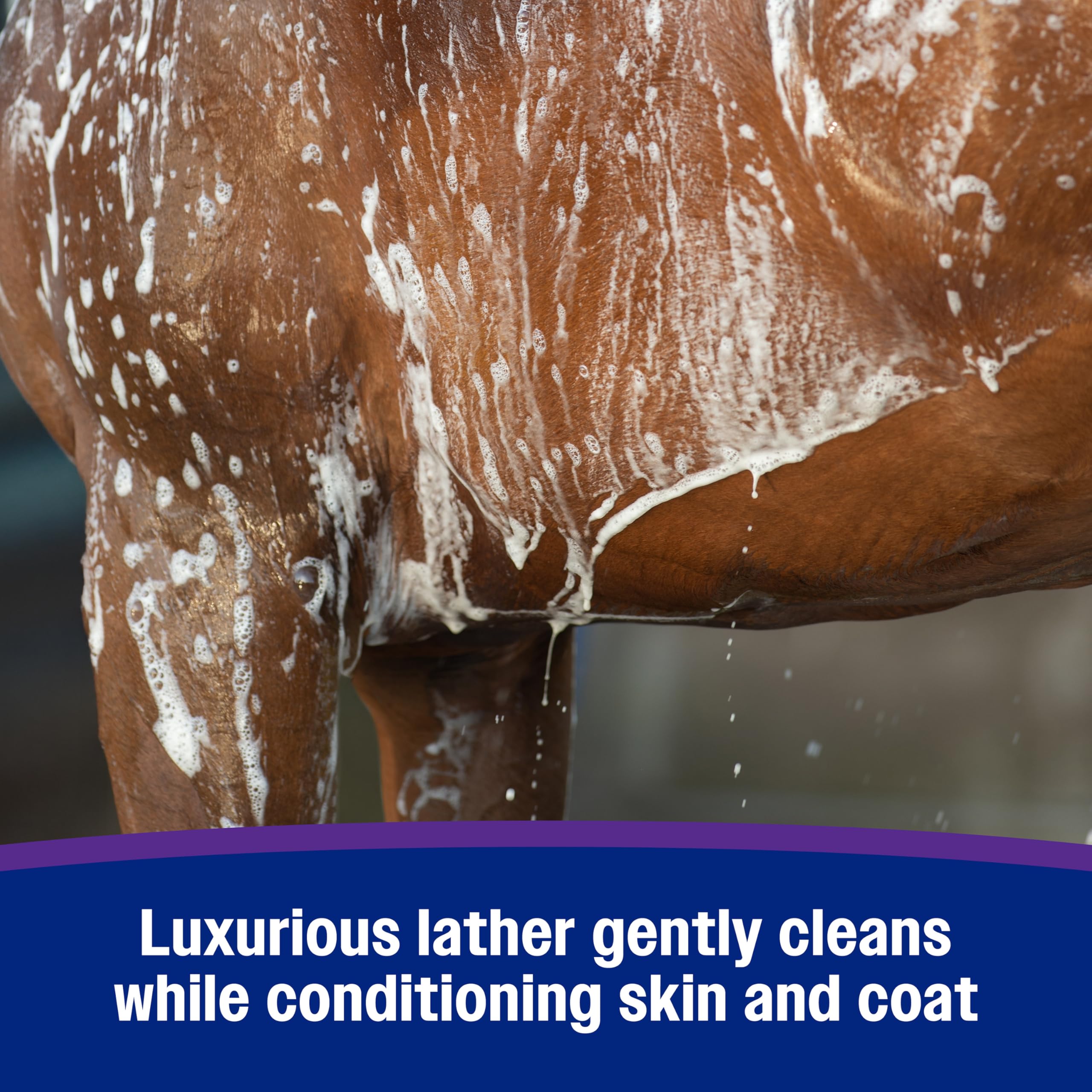 Vitamina E en Farnam Vetrolin Body Wash cuida la piel.