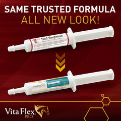 Potro recién nacido recibe Farnam Vita Flex Pro Paste para apoyo nutricional