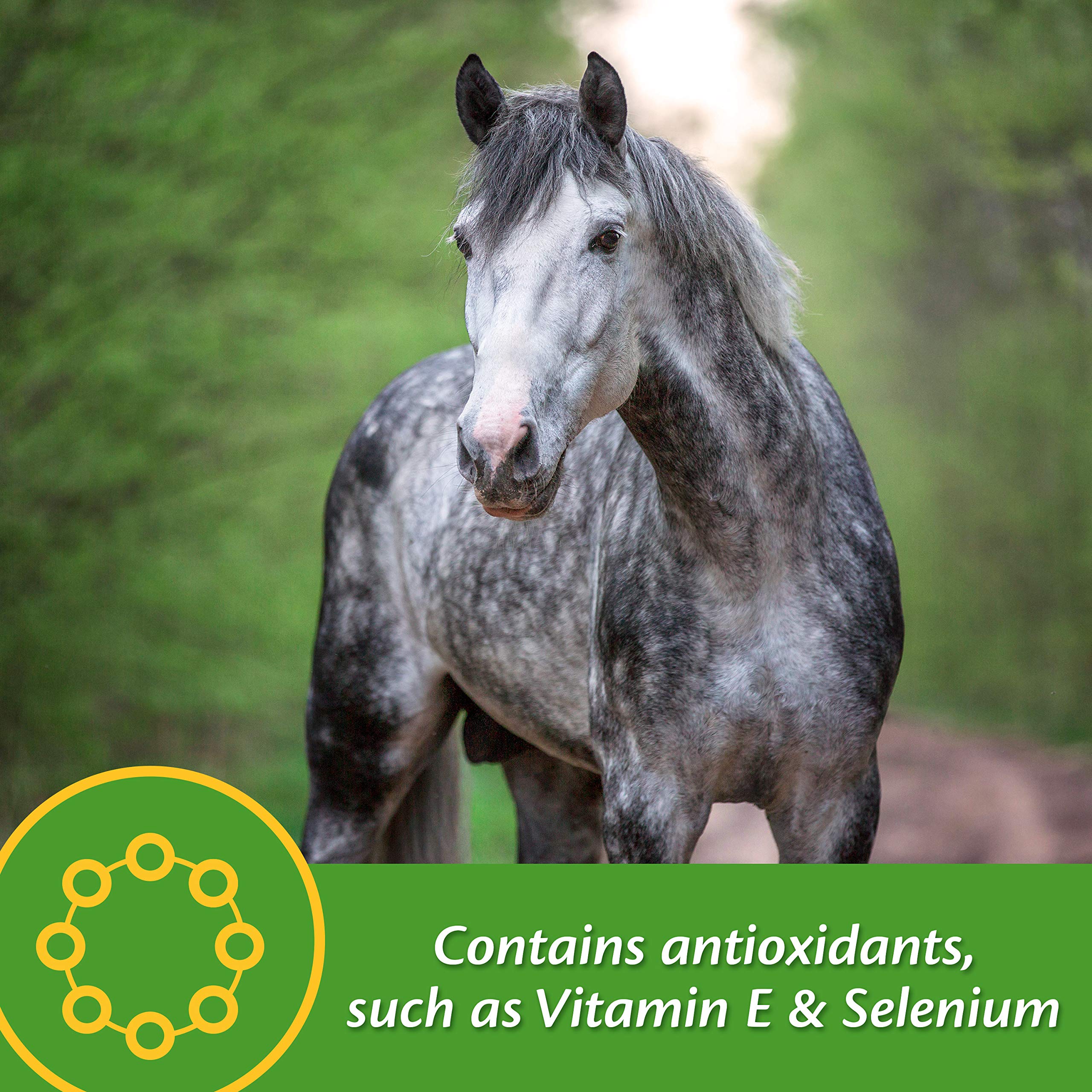 Envase de Farnam Vita Plus Balanceado de 3,75 libras para 30 días.