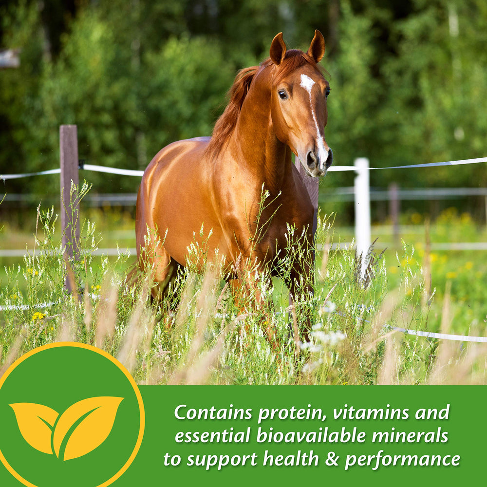 Etiqueta del producto Farnam Vita Plus con información de minerales.