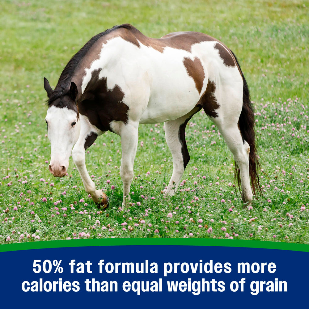 Farnam Weight Builder: caballo con manto brillante gracias al suplemento.
