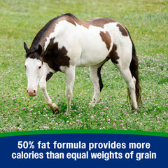 Farnam Weight Builder: caballo con manto brillante gracias al suplemento.