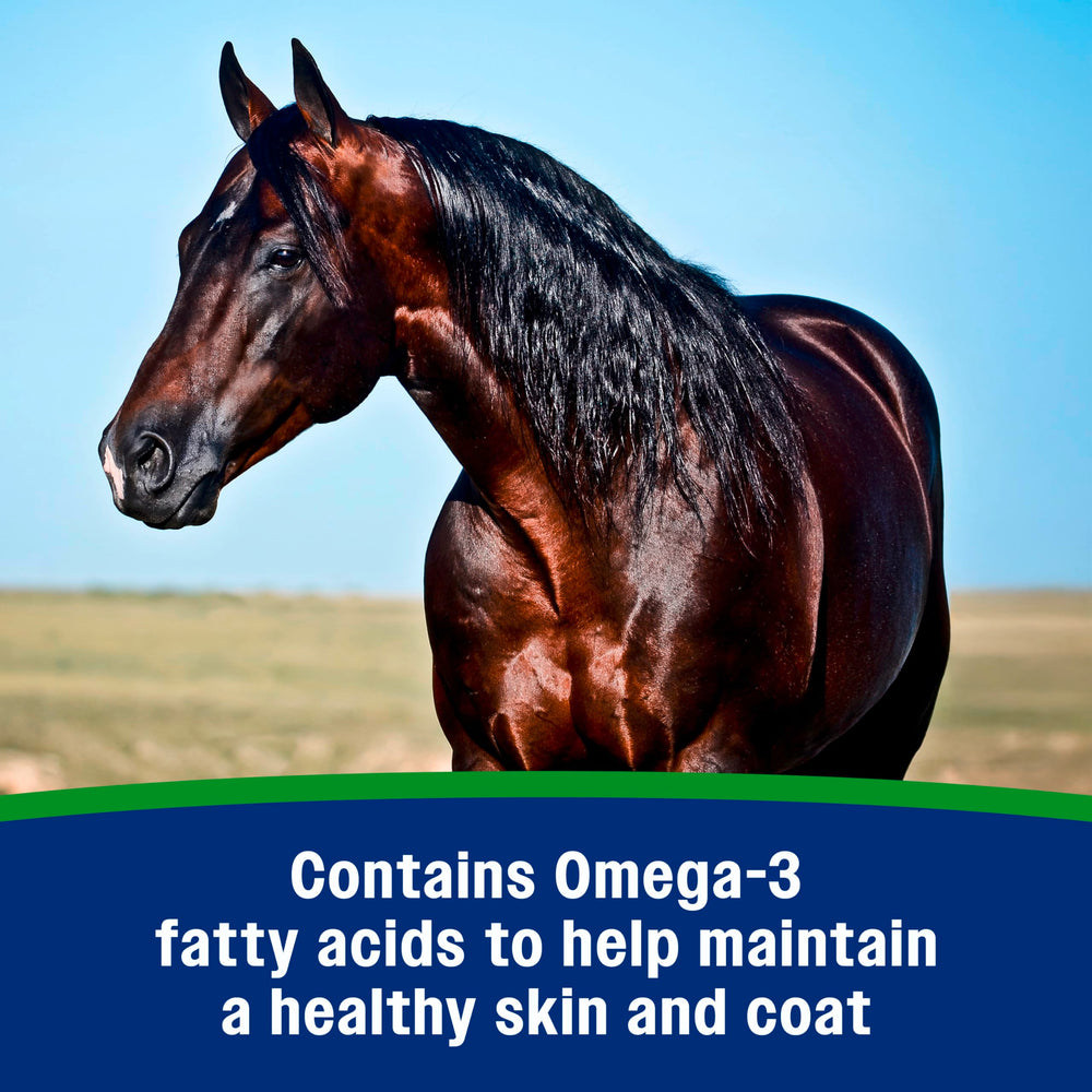 Farnam Weight Builder: omega-3 para piel sana y pelaje brillante.