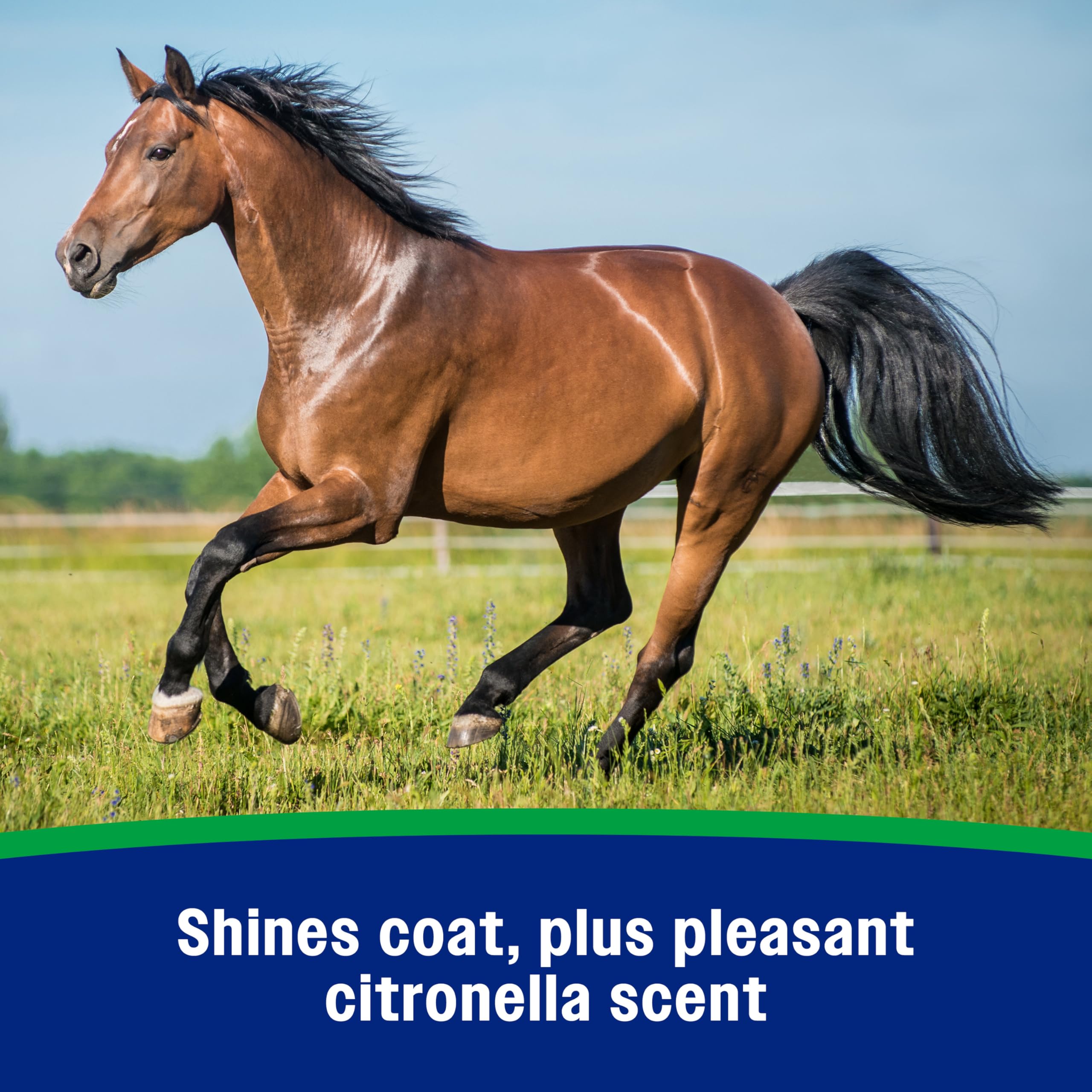 Farnam Wipe II aroma a citronela, agradable para el caballo.