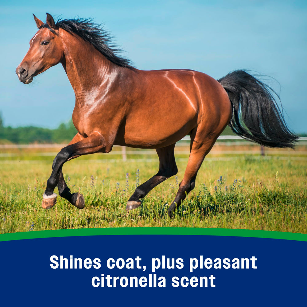 Farnam Wipe II aroma a citronela, agradable para el caballo.