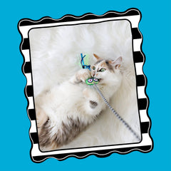 FatCat Tadpole tadpole de peluche: extremo suave para juego táctil