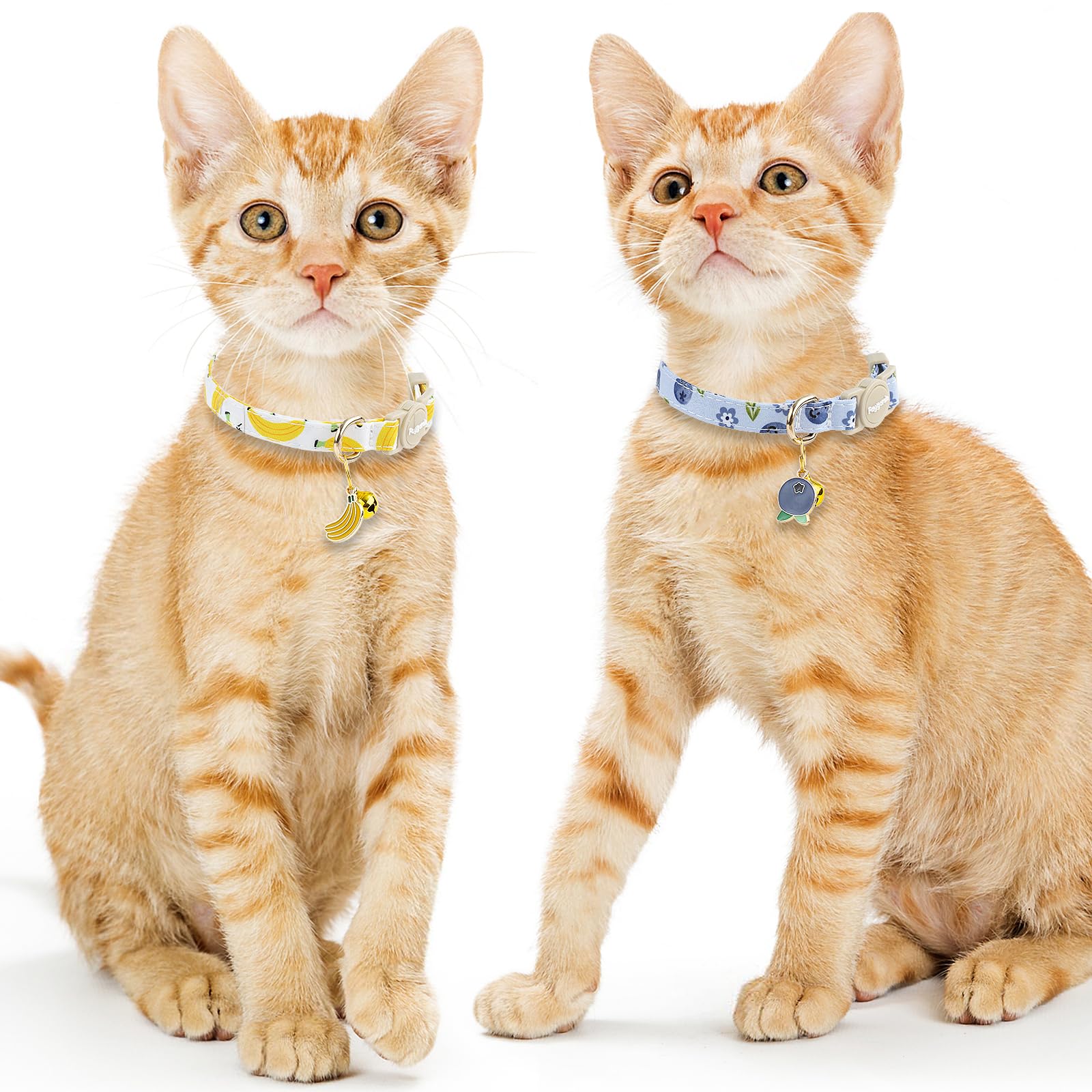 Diseño veraniego Faygarsle para gatas, ideal para salidas y juego.
