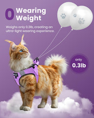 Fayogoo arnés con cinta reflectante para paseos nocturnos