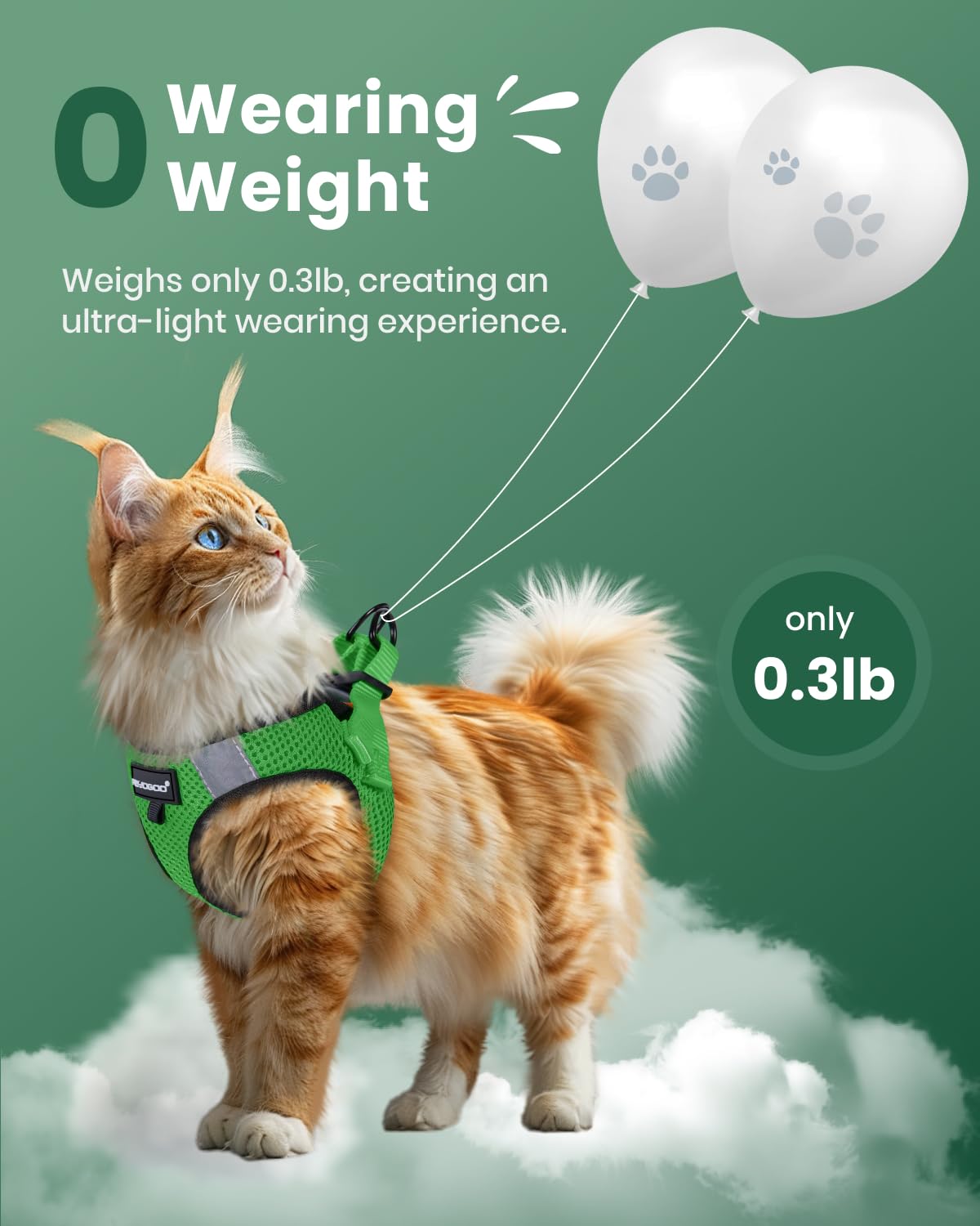 FAYOGOO arnés para gato: ponerse en un paso, fácil de usar.