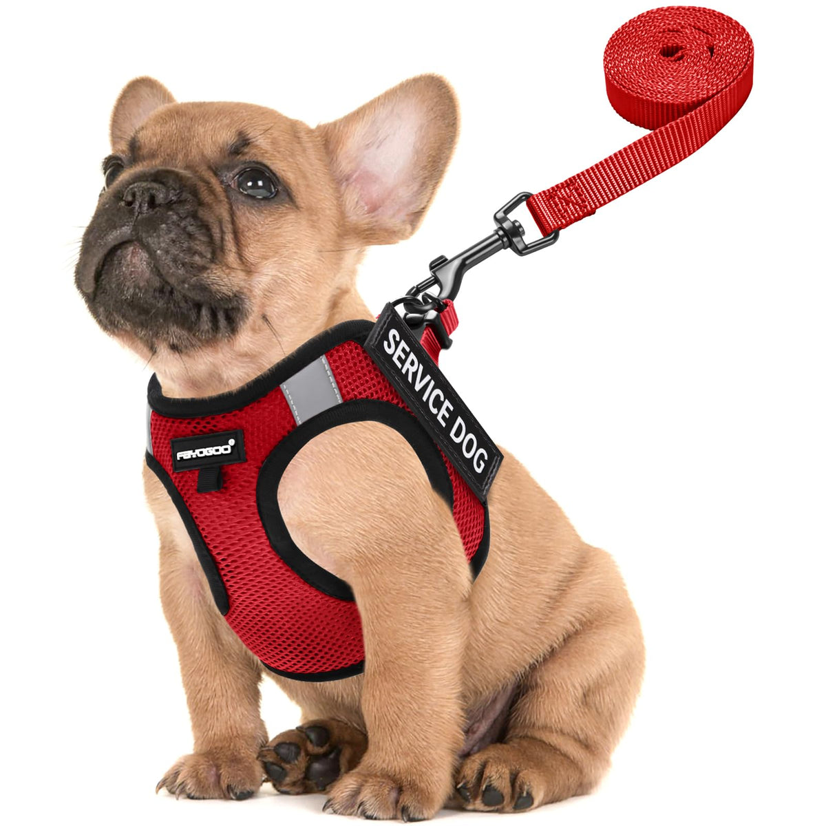 Gilet Fayogoo pour petit chien avec patches amovibles, parfait pour l’entraînement.
