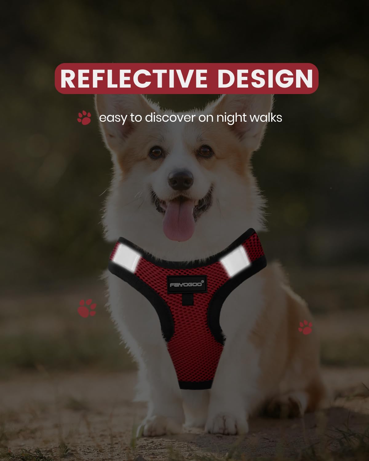 Réflectif Fayogoo pour gilet chien, visibilité nocturne accrue.