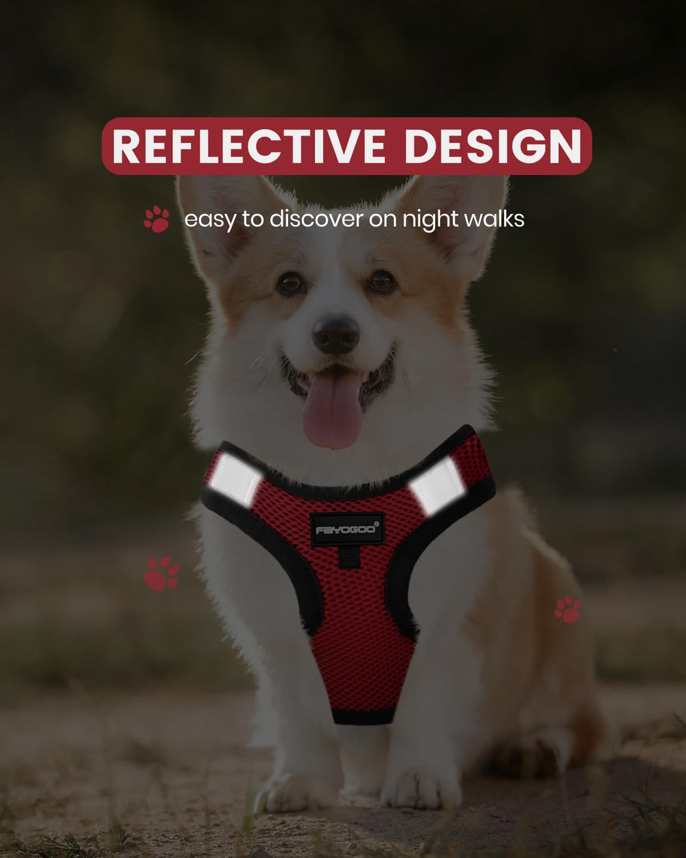 Réflectif Fayogoo pour gilet chien, visibilité nocturne accrue.