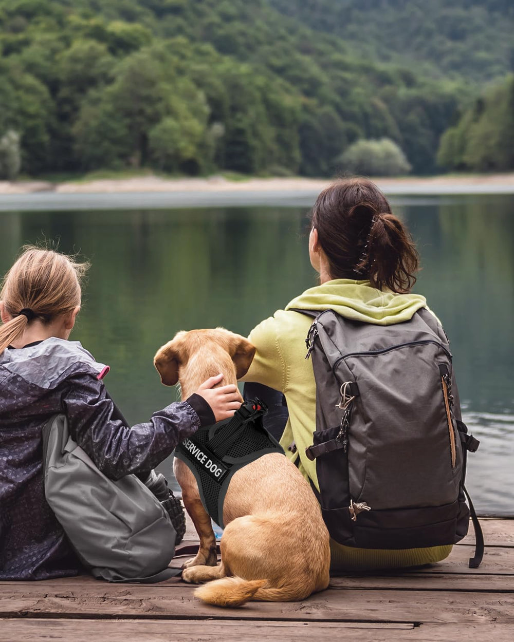 FAYOGOO arnés de talla pequeña para perros pequeños