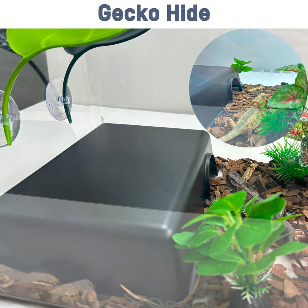 FCALIVV habitat-versatil-geckos-taran: ideal para distintas especies.