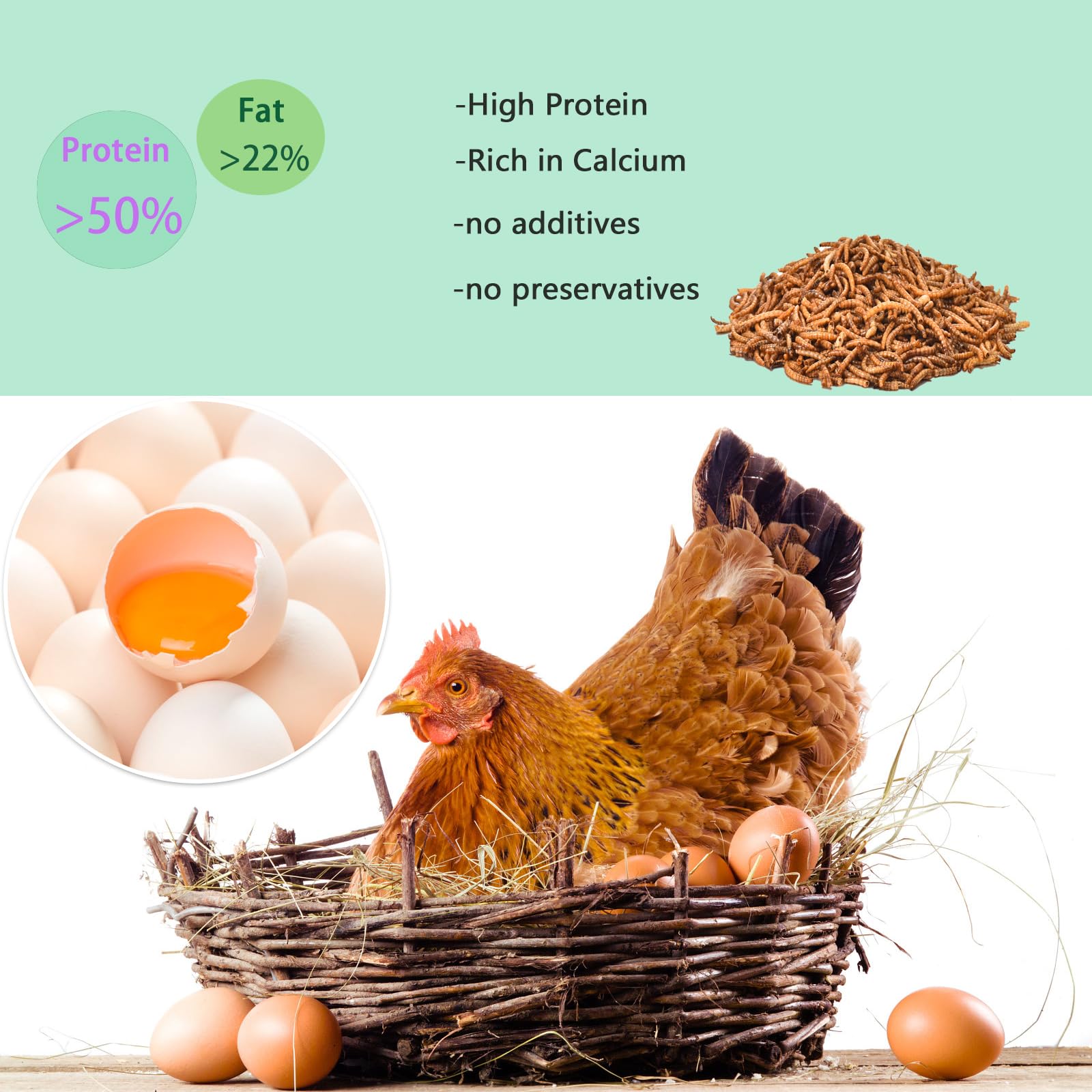 FCI GRUBS uso diario en dieta equilibrada para gallinas