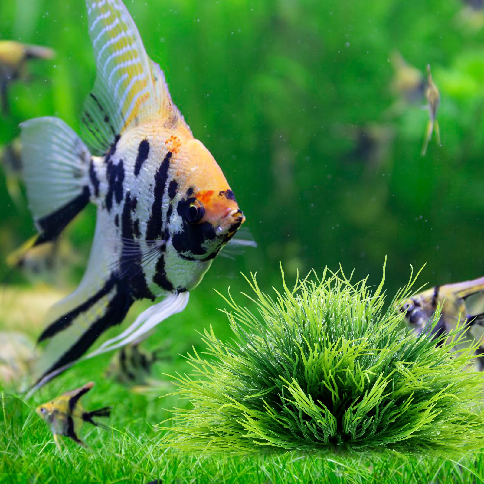 Planta para acuario FdcLixuvol verde: color fresco que mejora el aspecto del tanque.