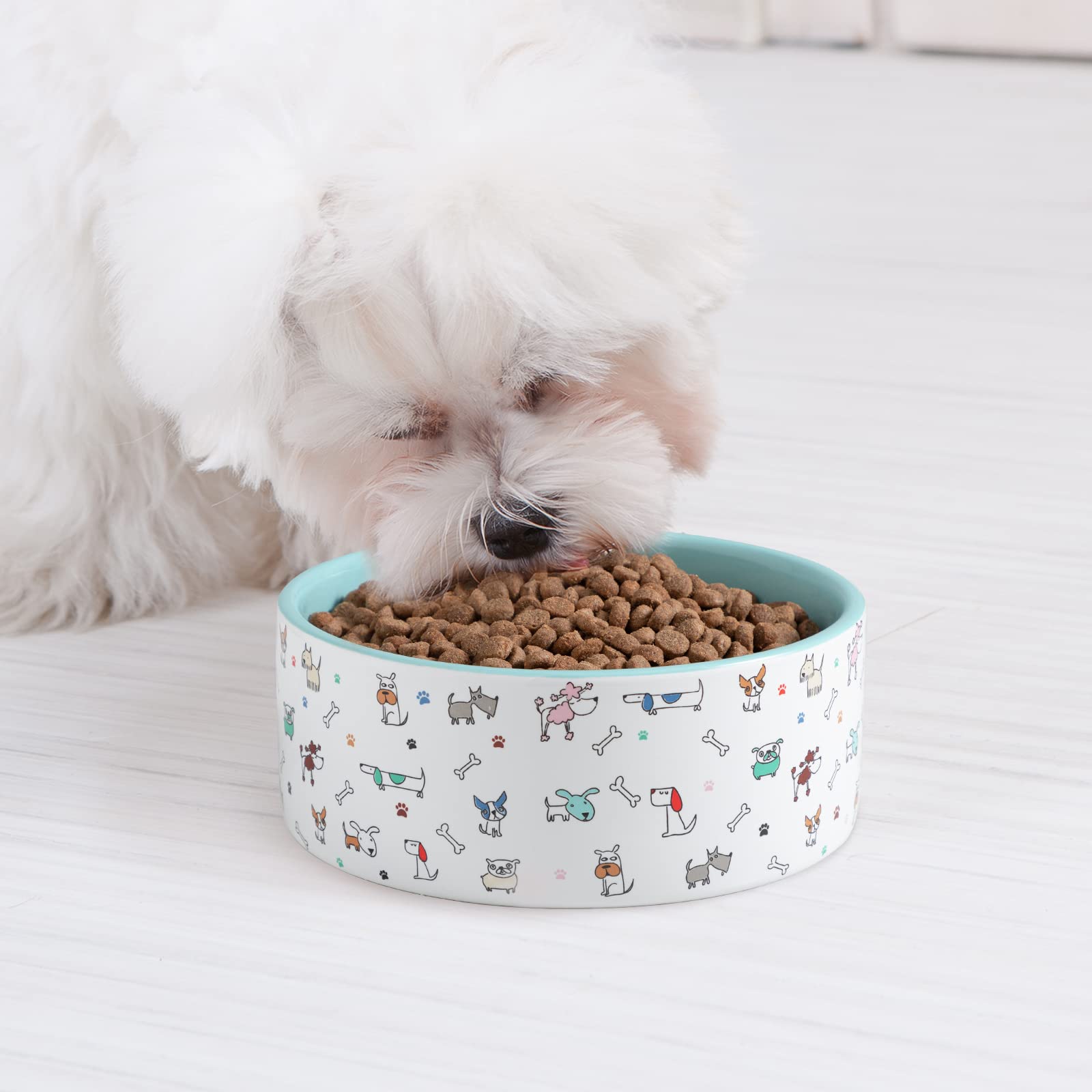 Fácil limpieza FE FUN ELEMENTS, plato cerámico para perros.