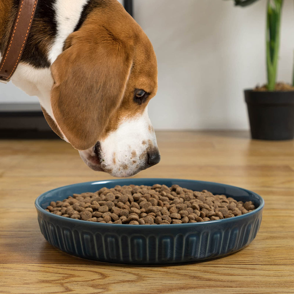 FE FUN ELEMENTS adecuado para perros, gatos y aves en diferentes escenarios