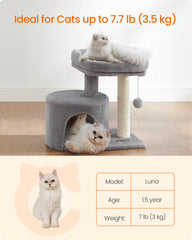 Feandrea Arbol Gato Pequeño – Base estable para saltos seguros.