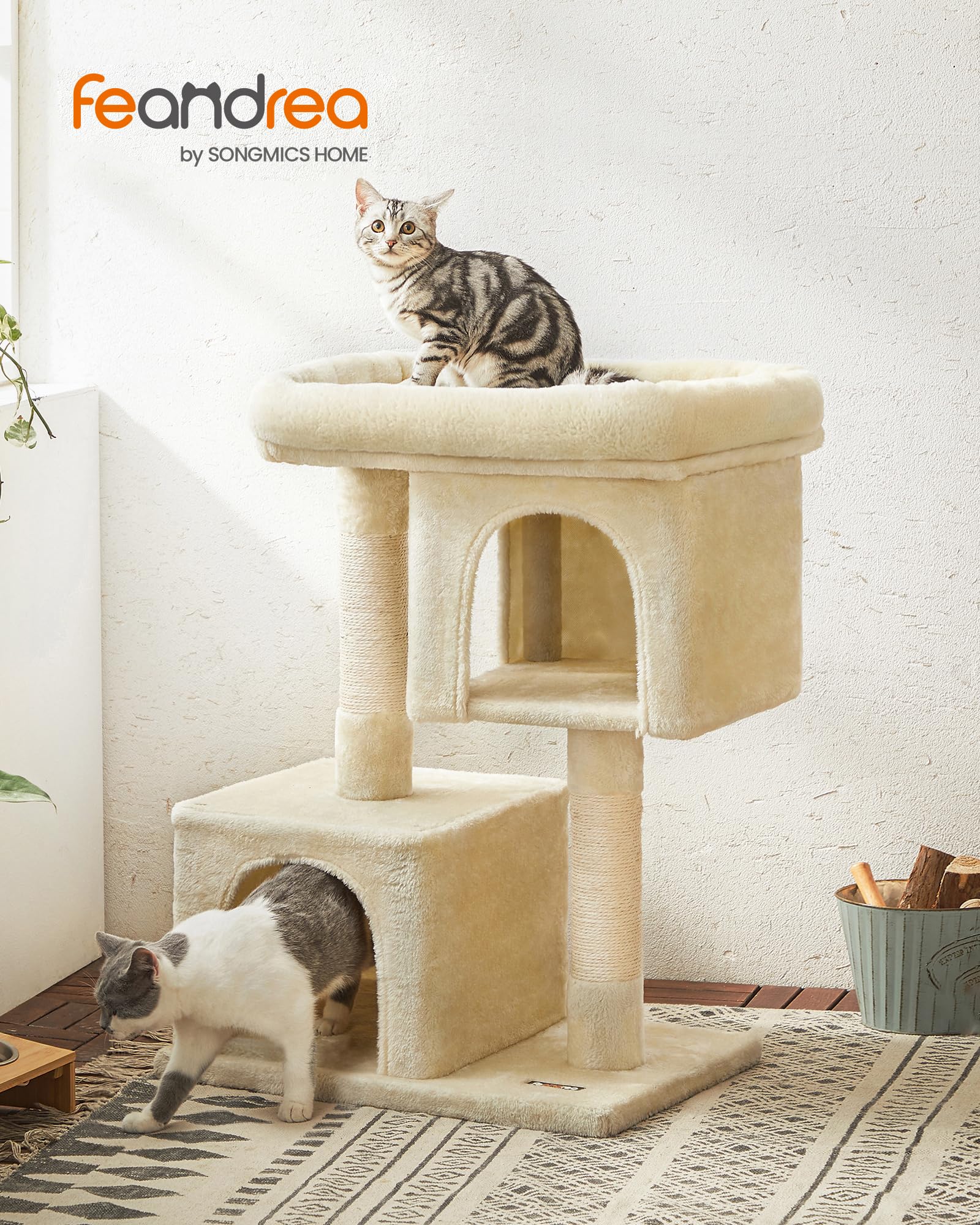 Feandrea: cueva superior de dos puertas para observar desde arriba
