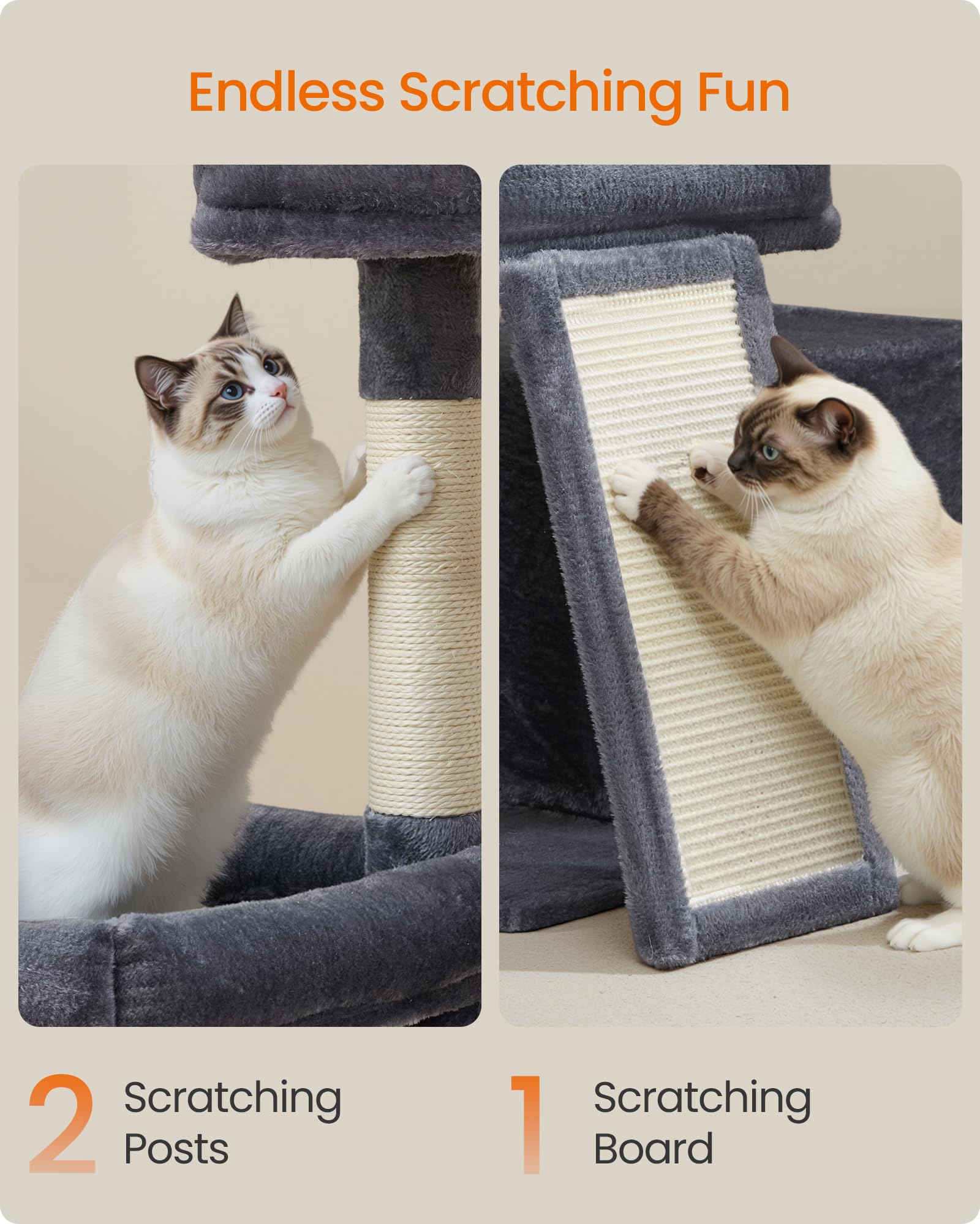 Feandrea rampa-plataforma-gatos: acceso cómodo para subir entre niveles.