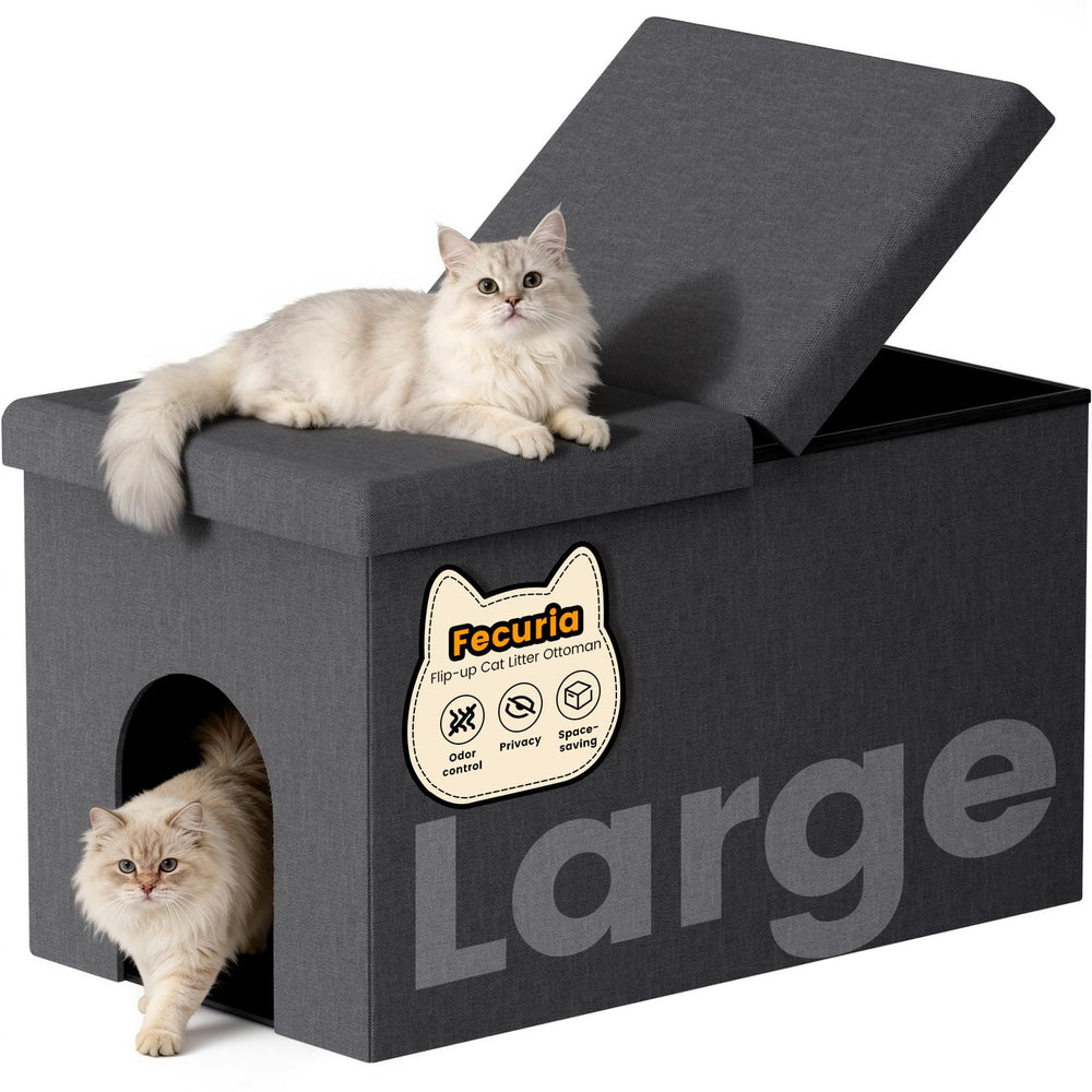 Fecuria: caja de arena oculta que funciona como banco elegante para la estancia.