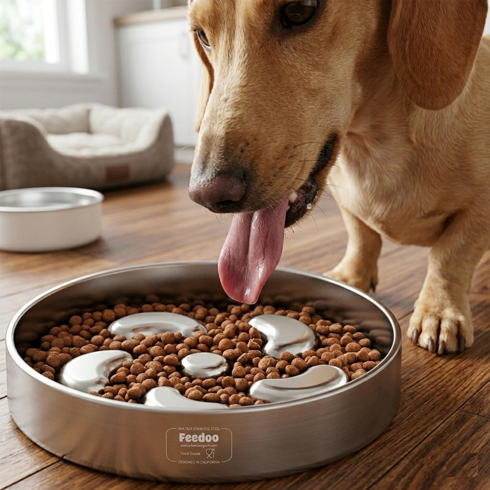 Feedoo recomendado para perros medianos