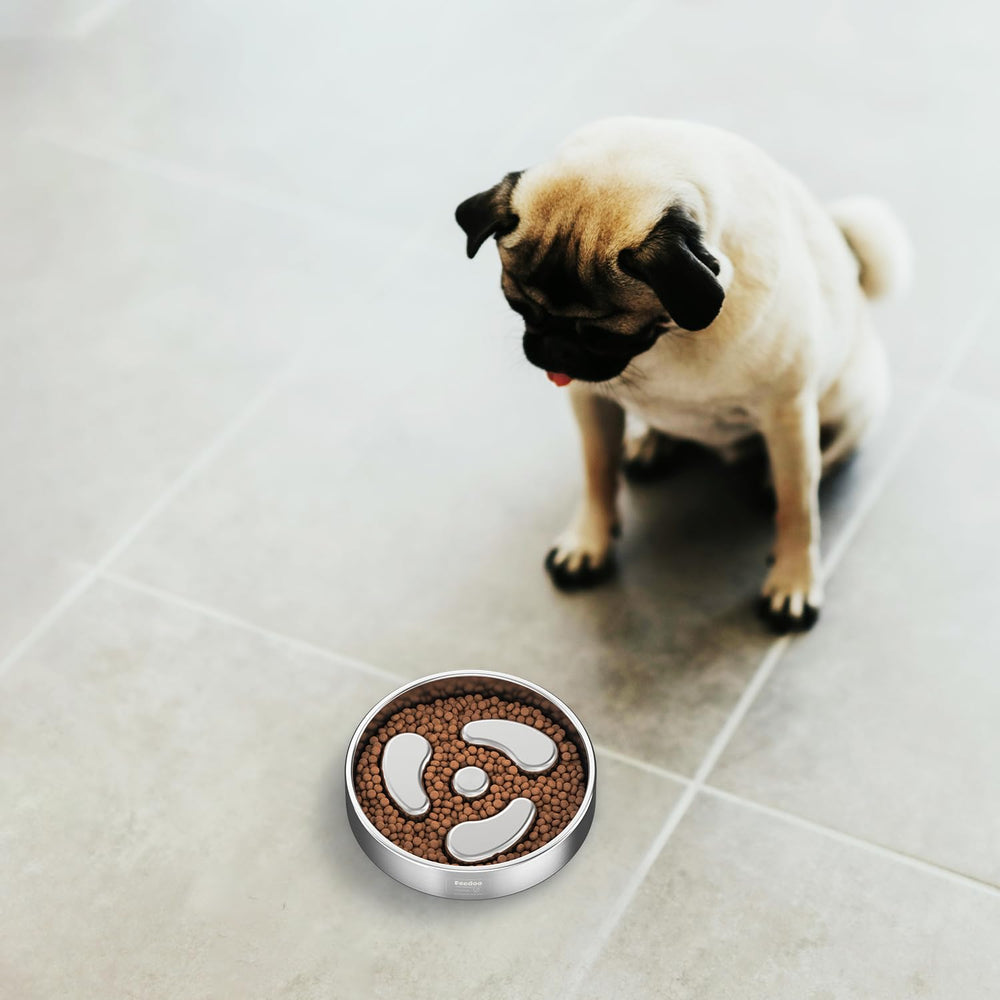 Feedoo tazón para perros pequeños: ideal para comida seca y húmeda.
