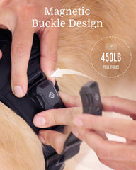 Fei & Eve MagEase: diseño de 3 puntos para control instantáneo durante paseos.