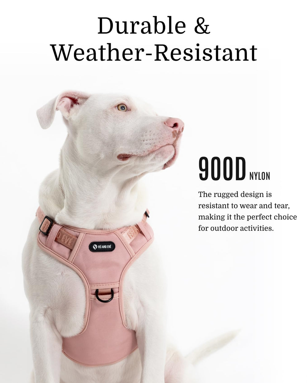 Fei & Eve MagEase: sistema MOLLE multifuncional para parches y accesorios.