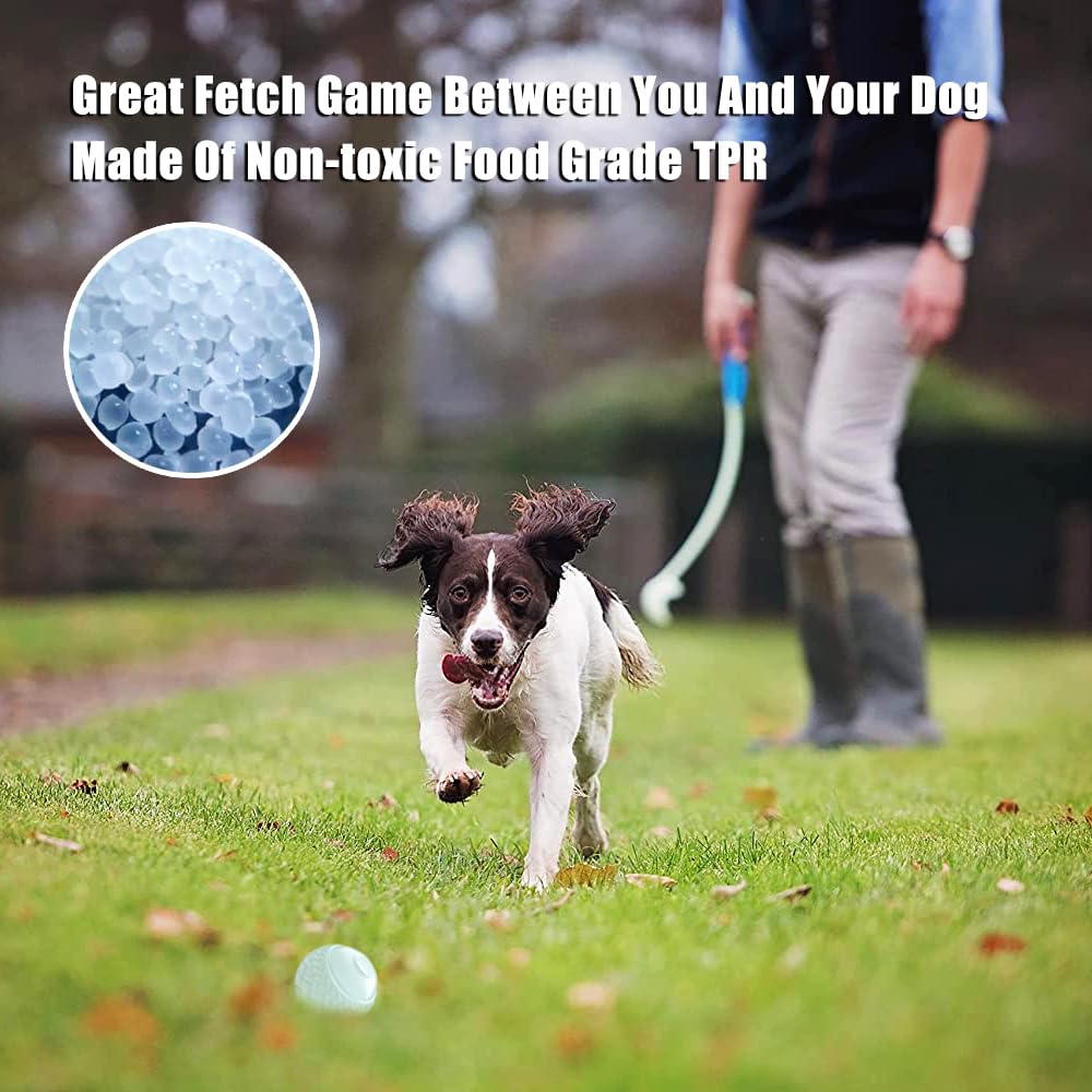 Pelota Feixun de 2,5 pulgadas perfecta para juegos de búsqueda.
