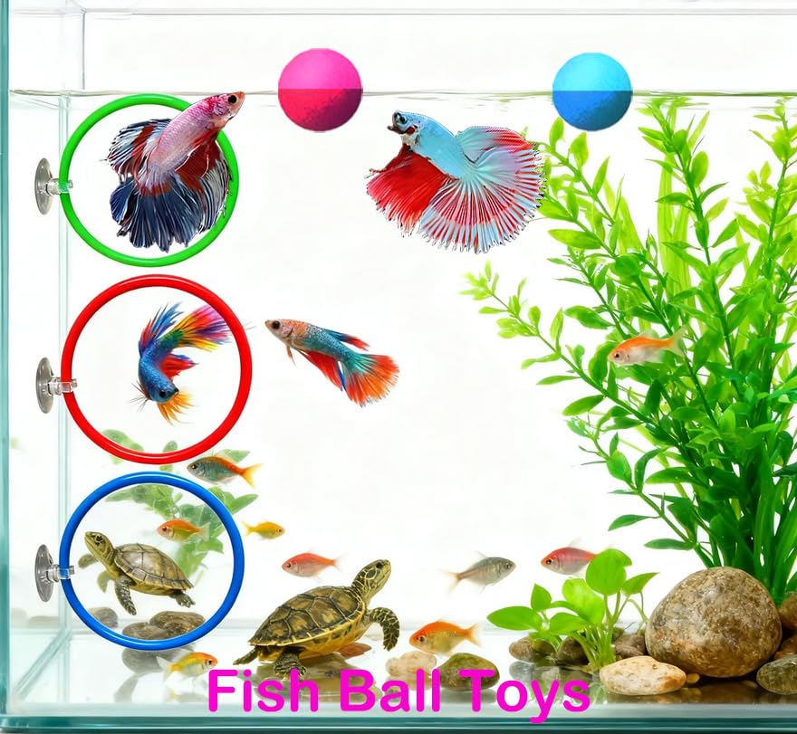 Fejapa anillos de entrenamiento: fomenta exploración en el acuario