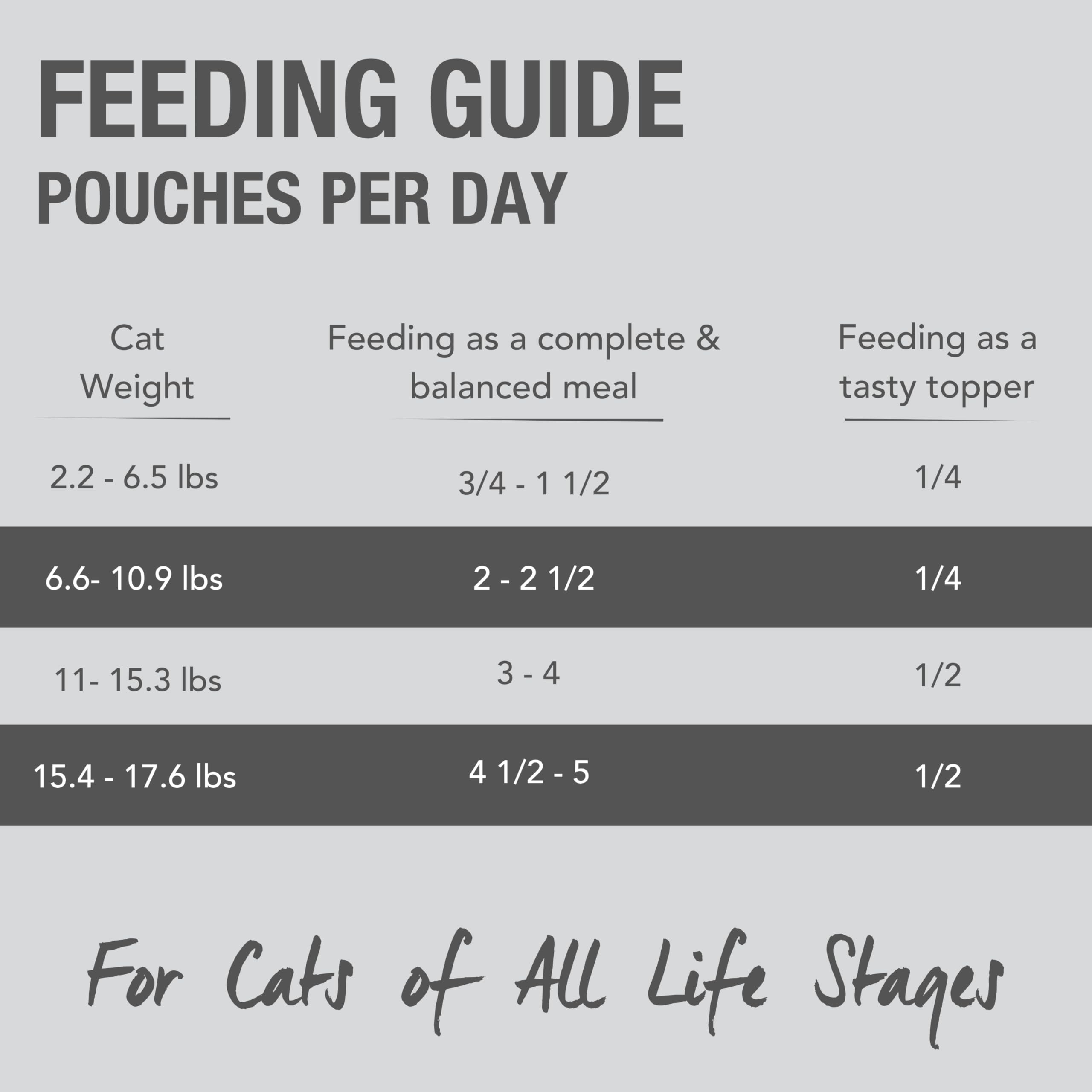 Feline Natural pate-gato servir en plato, presentación atractiva para alimentación diaria.
