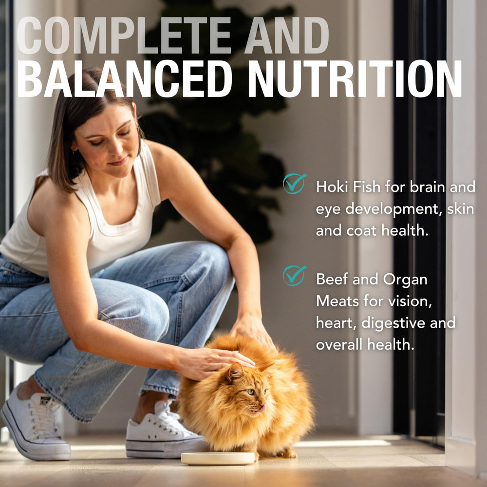 Feline Natural pate-gato textura suave, ideal para gatos exigentes o estómagos sensibles.