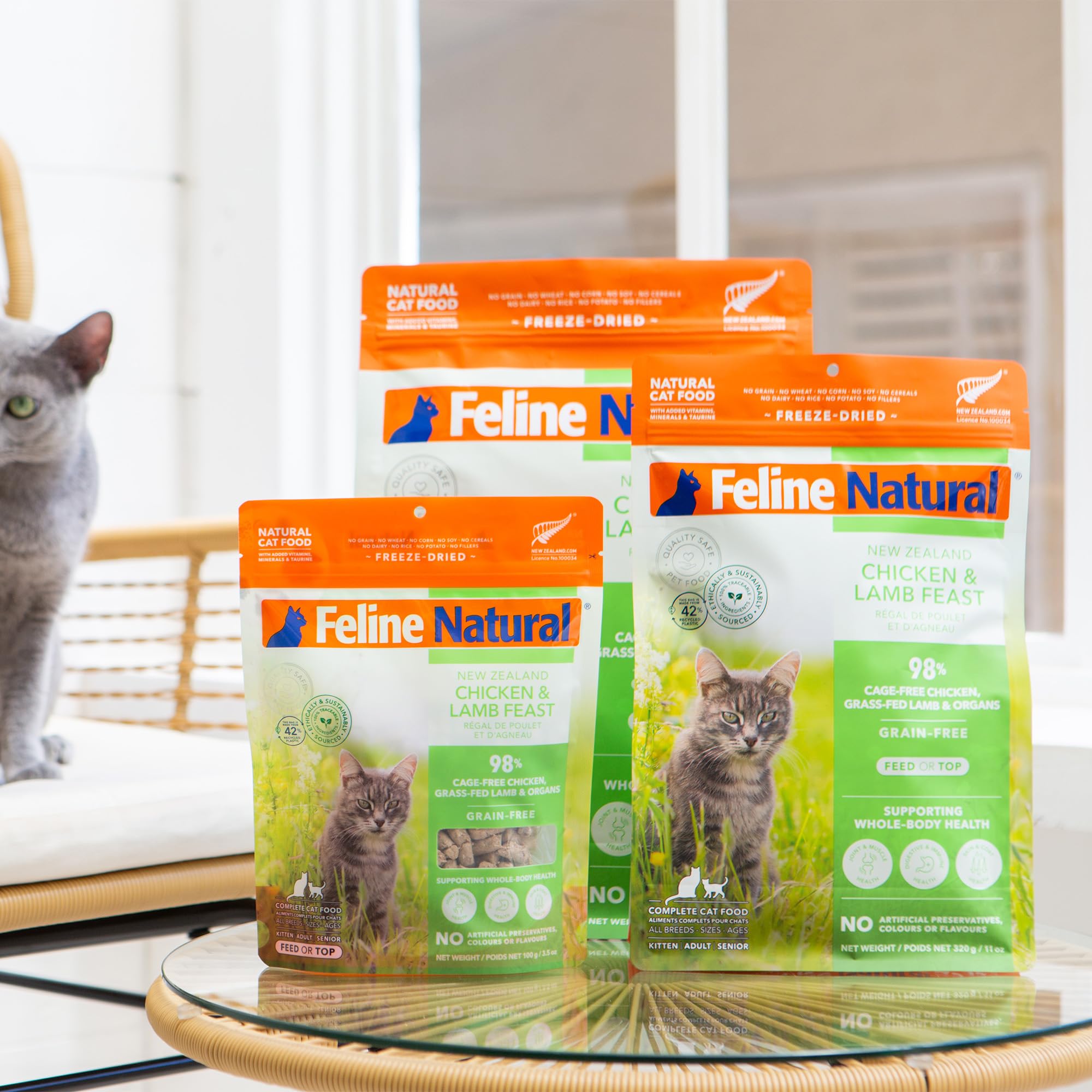 Porción de 3,5 oz para raciones diarias de gatos