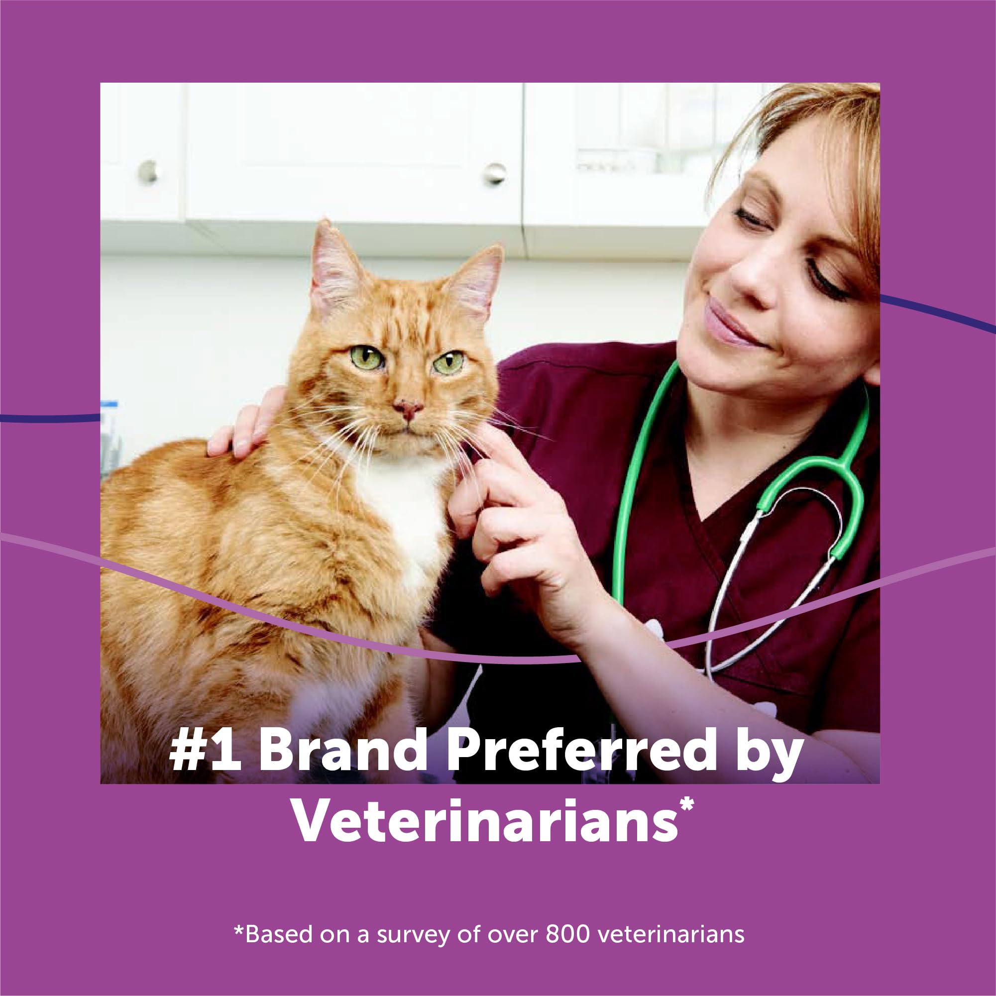 FELIWAY Classic: opción recomendada por veterinarios para bienestar felino