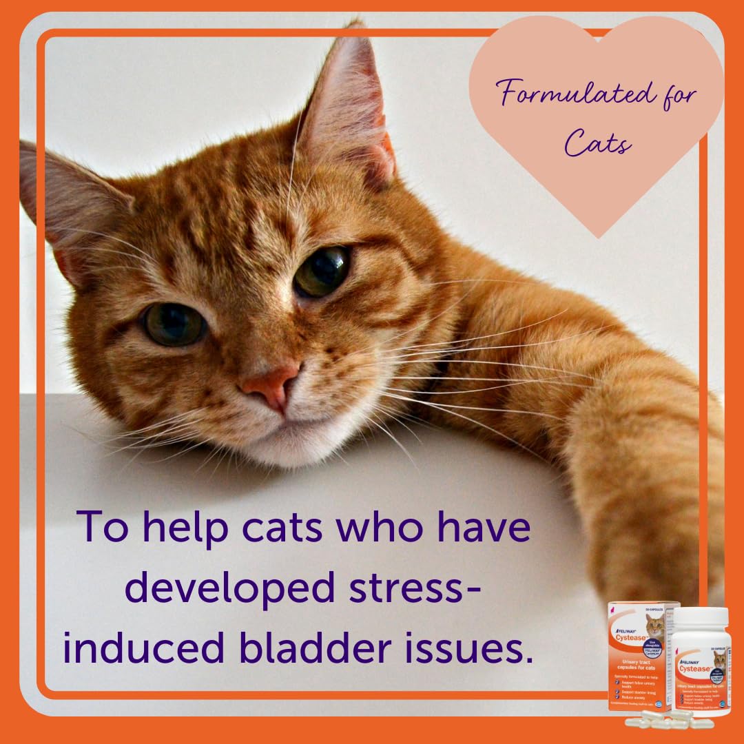 Feliway Cystease ingredientes clave para la salud de la vejiga.
